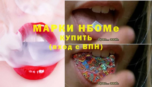 индика Вязники