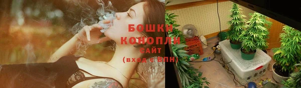 индика Вязники