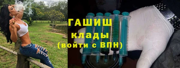 индика Вязники